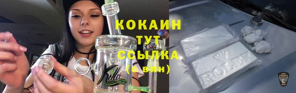 молекула духа Заволжье