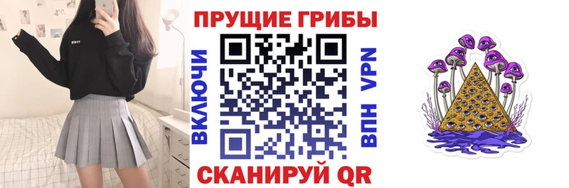 Купить  Рославль  Псилоцибиновые грибы Psilocybe 